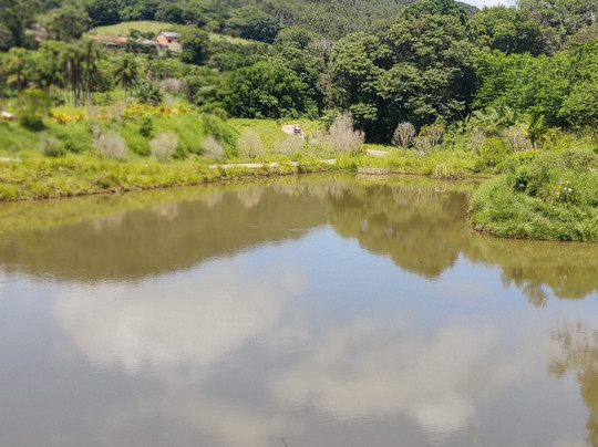 橄榄山度假酒店主图