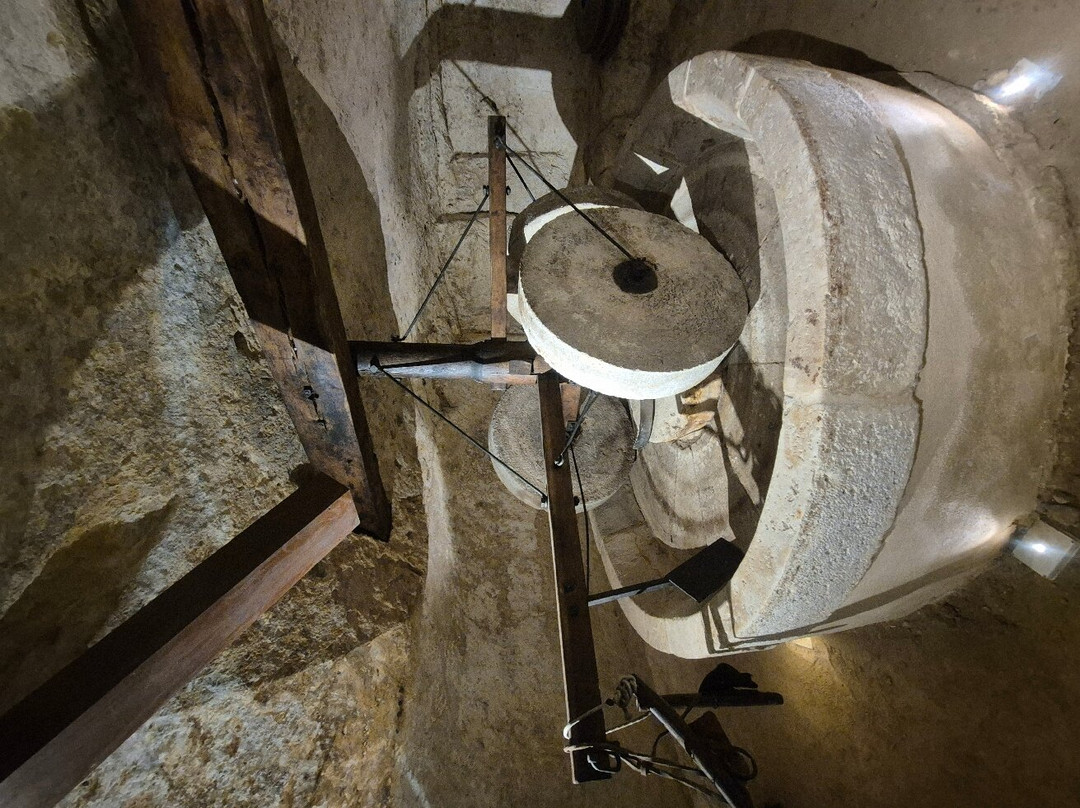 MOOM Matera Olive Oil Museum-马泰拉必去景点