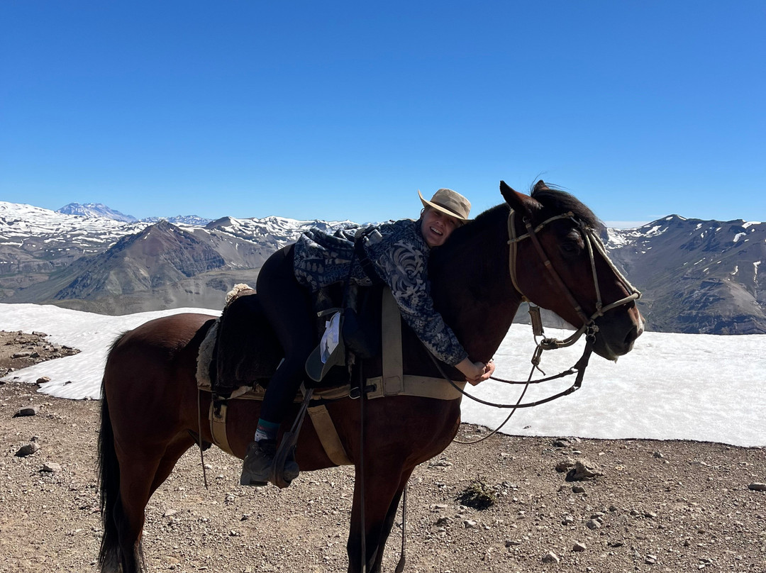 Chile Horse Riding-Panimavida必去景点