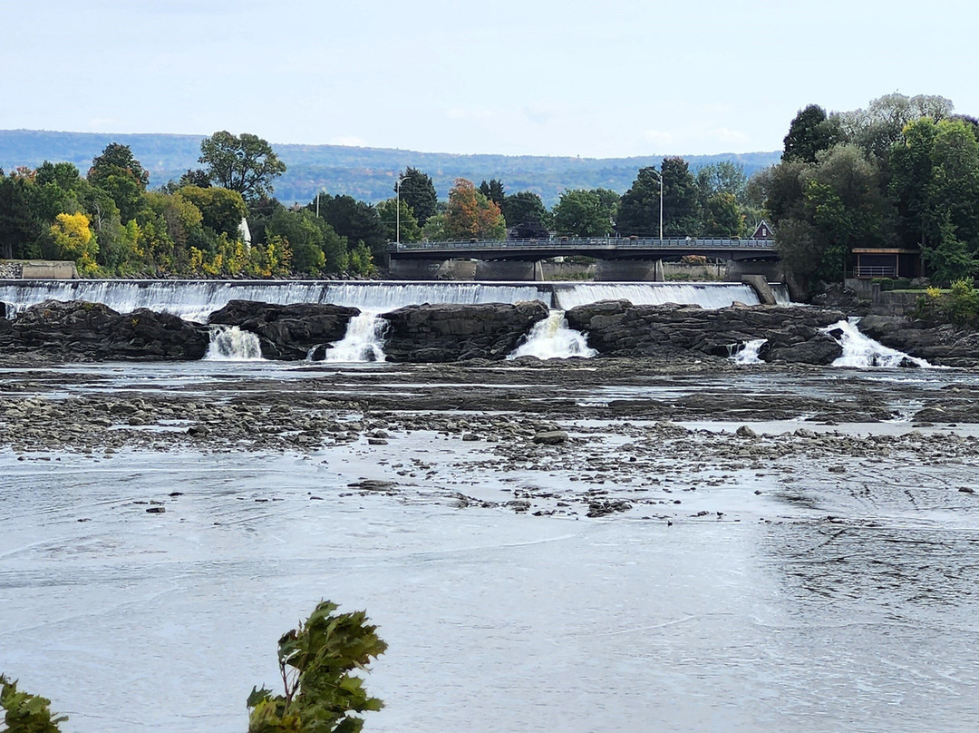 Le Jardin des Souches et la Promenade du Bassin-Montmagny必去景点