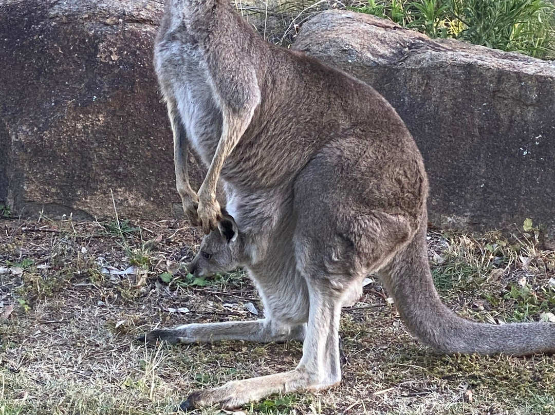 Last Stop Ambledown Brook Bed & Breakfast主图
