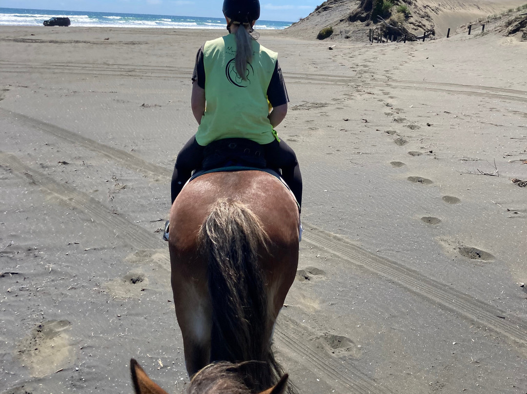 Muriwai Beach Horse Treks景点图片