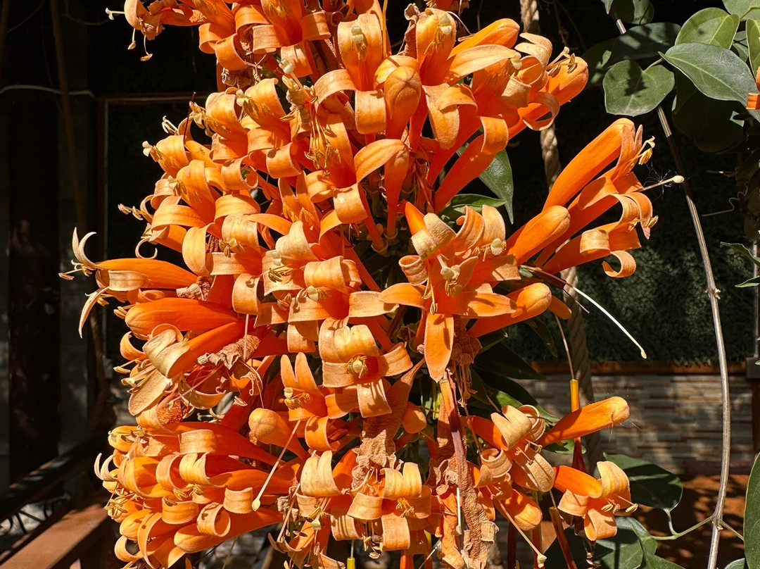 官渡古镇-昆明市必去景点