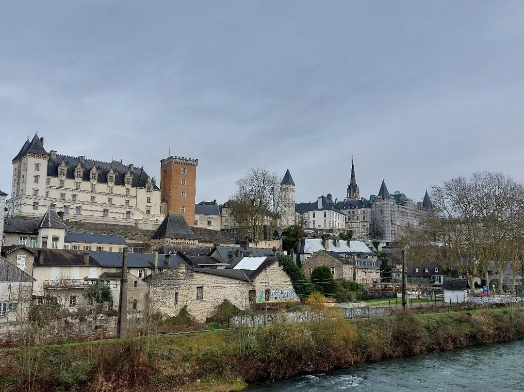 Château de Pau景点图片