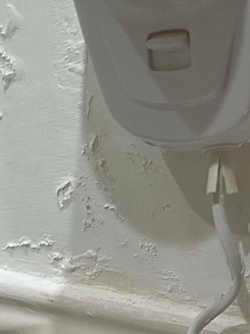 阿多布兰德斯齐酒店主图