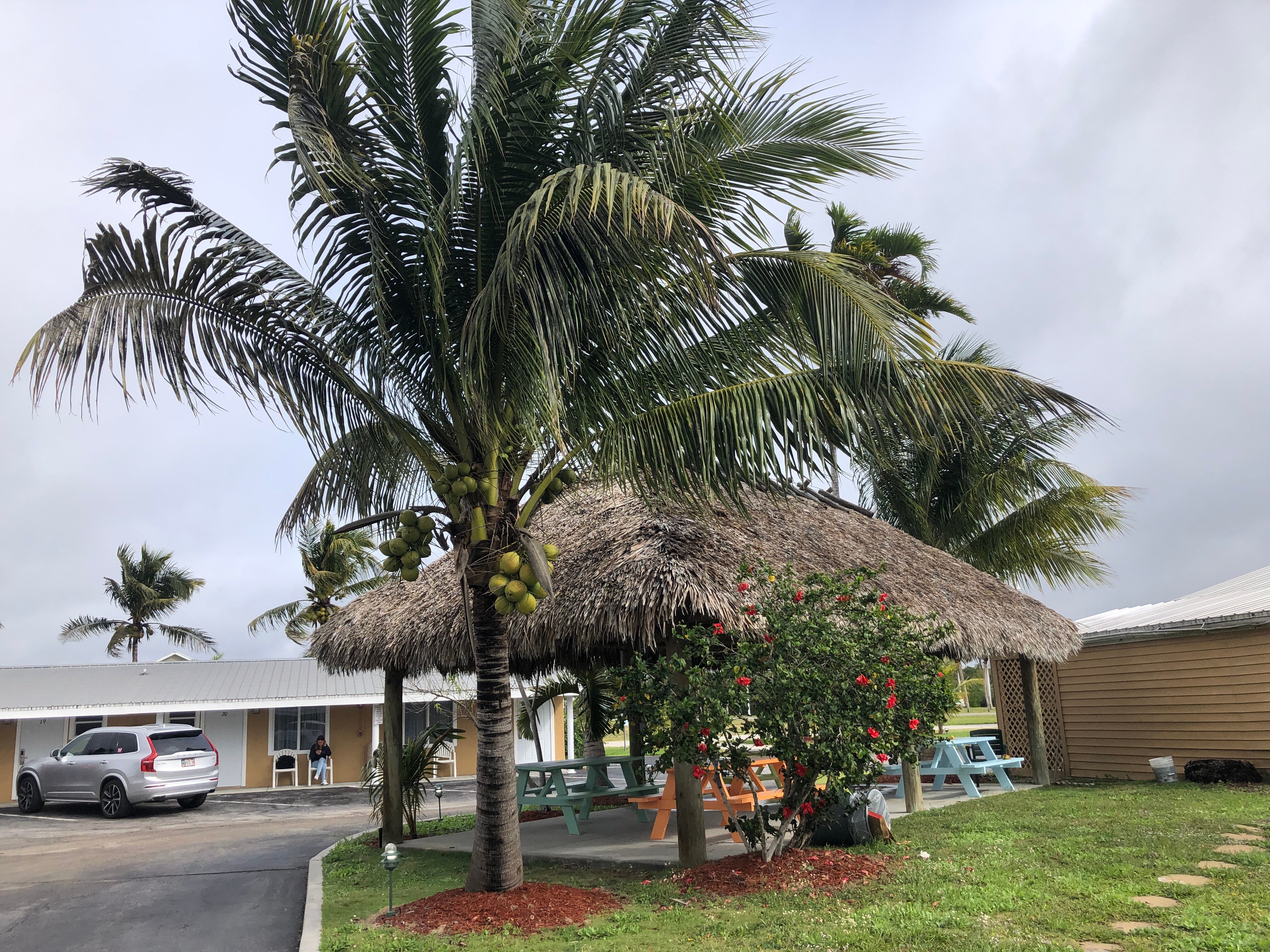 Everglades City Motel - Everglades Adventures Inn-浴室