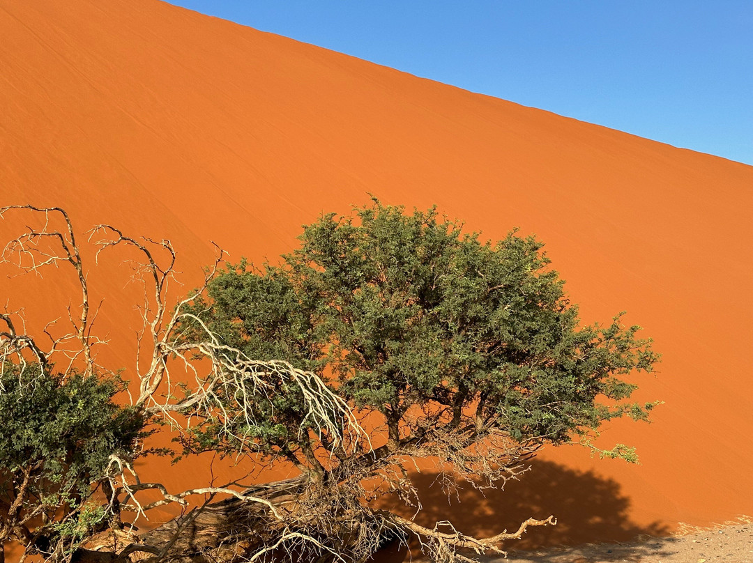 Lark Journeys-温德和克必去景点