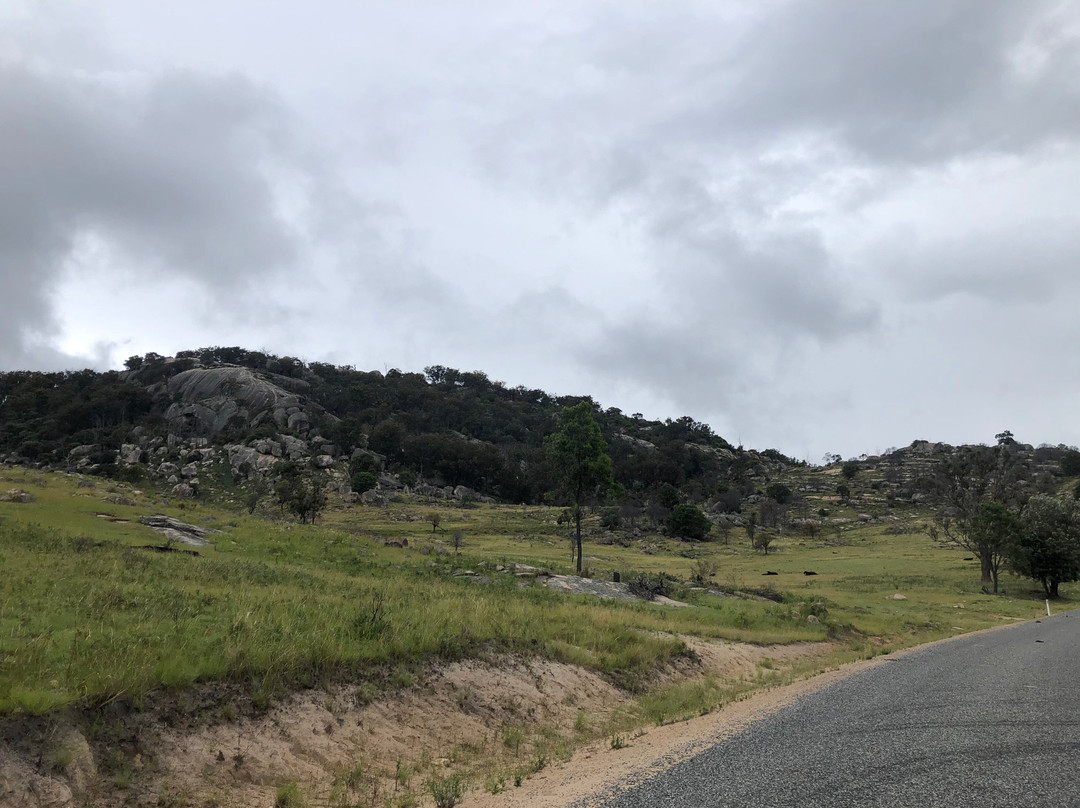 Mount Mackenzie Nature Reserve景点图片