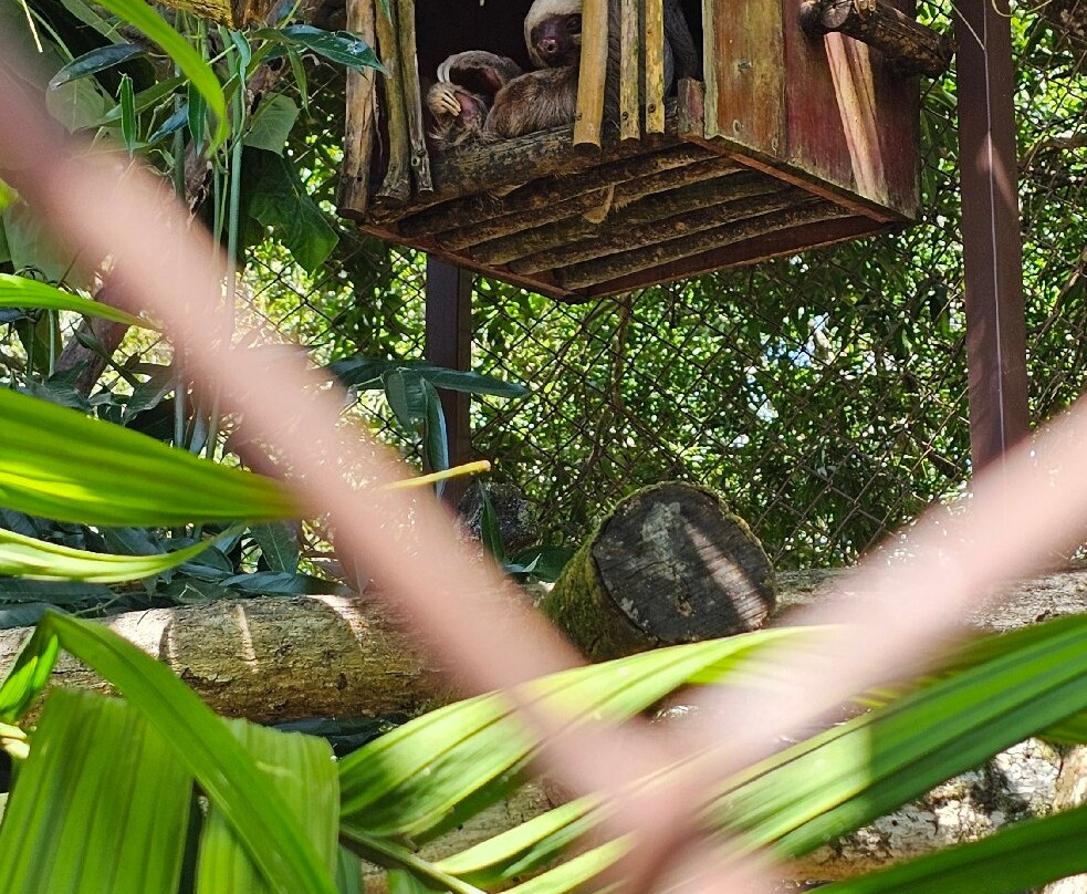 Alturas Wildlife Sanctuary-主日镇必去景点