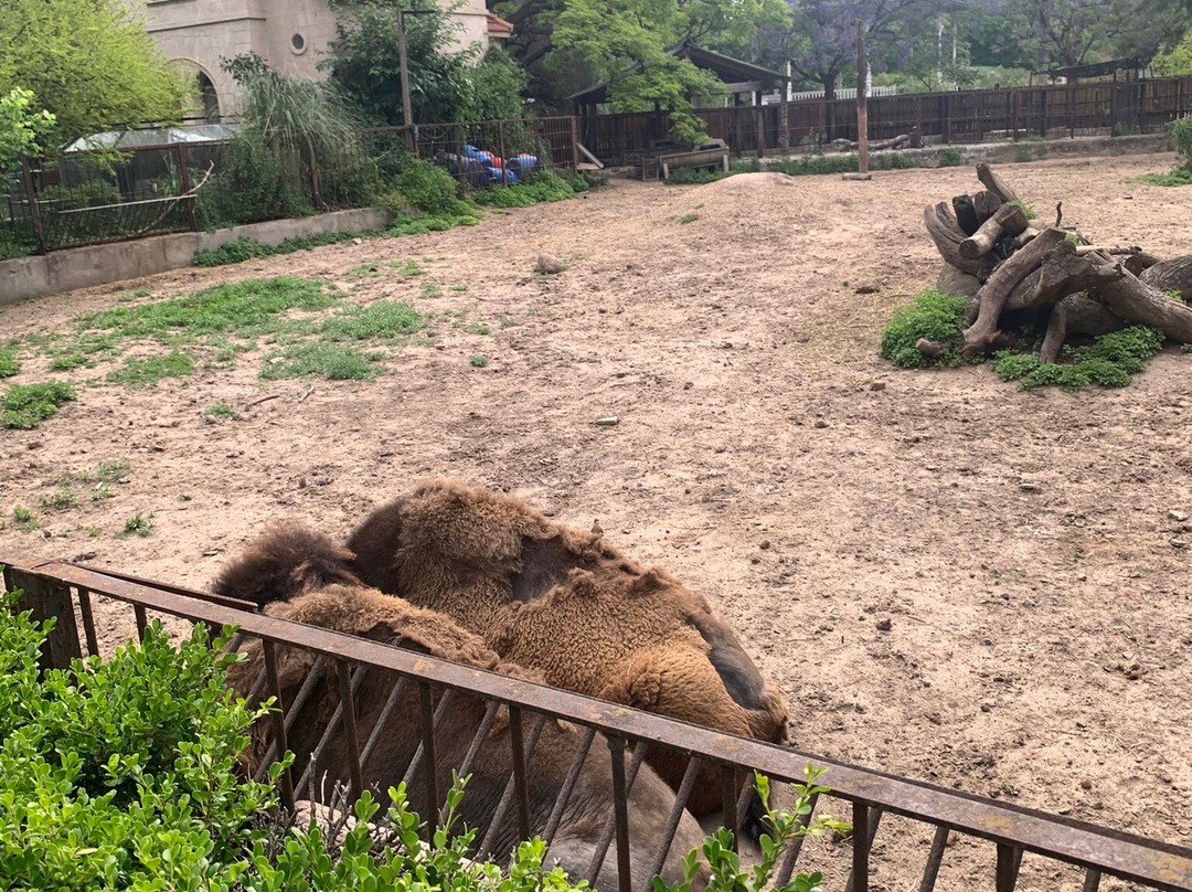 Eco Parque-布宜诺斯艾利斯必去景点