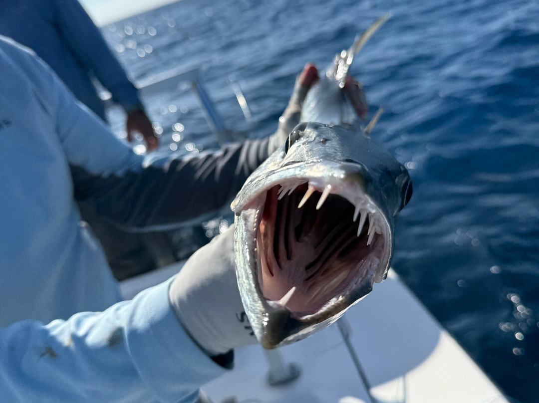 Jardines De La Reina-古巴必去景点