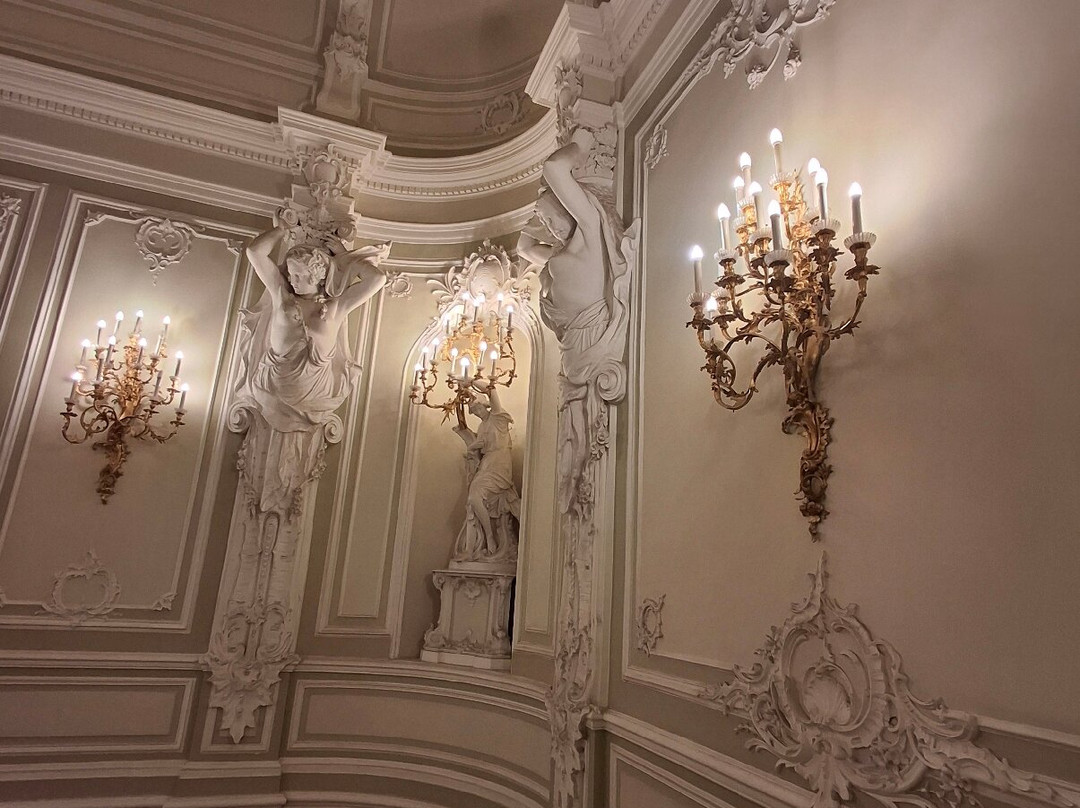 Beloselskiy-Belozerskiy Palace景点图片