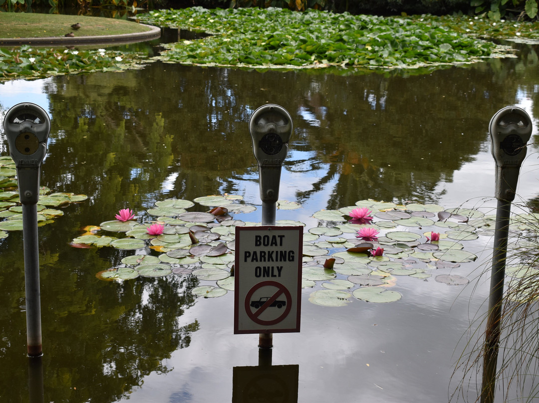 Ngatea Water Gardens景点图片