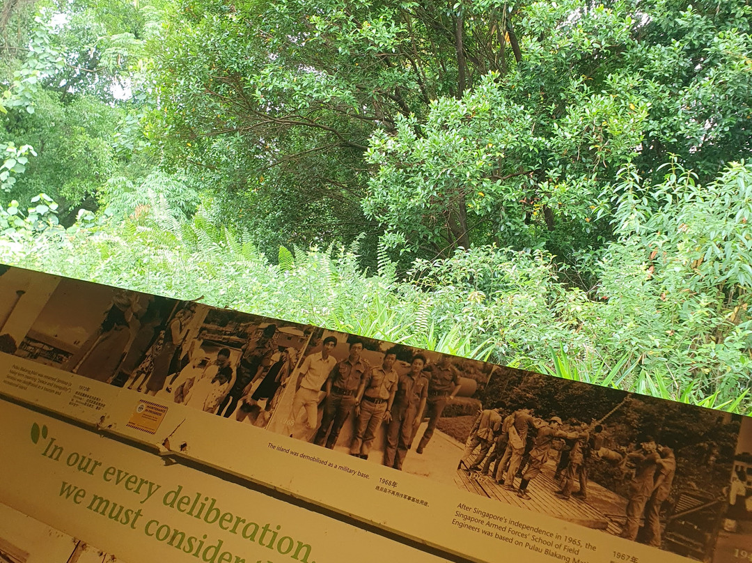 下畅游圣淘沙自然探索中心-圣淘沙岛必去景点