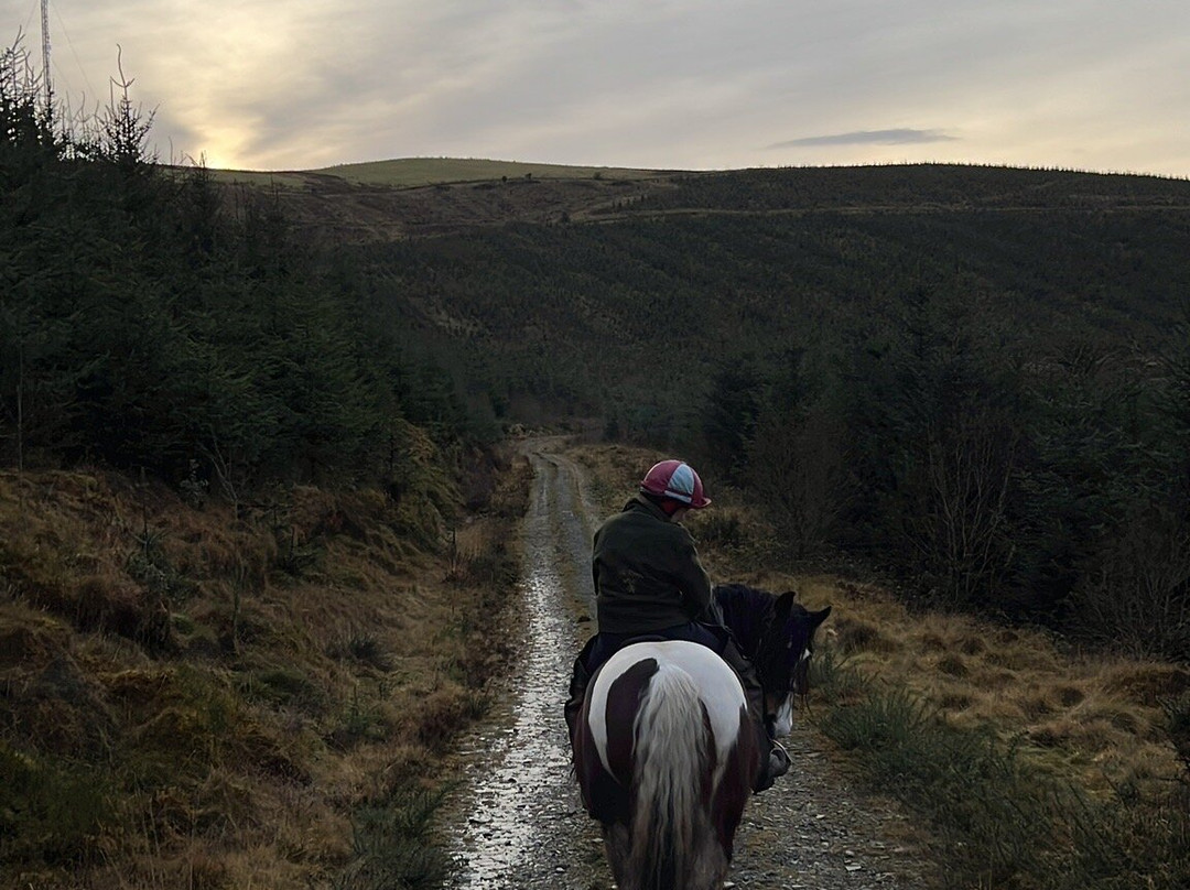 Saddle Tramps Trail Riding-Lampeter必去景点