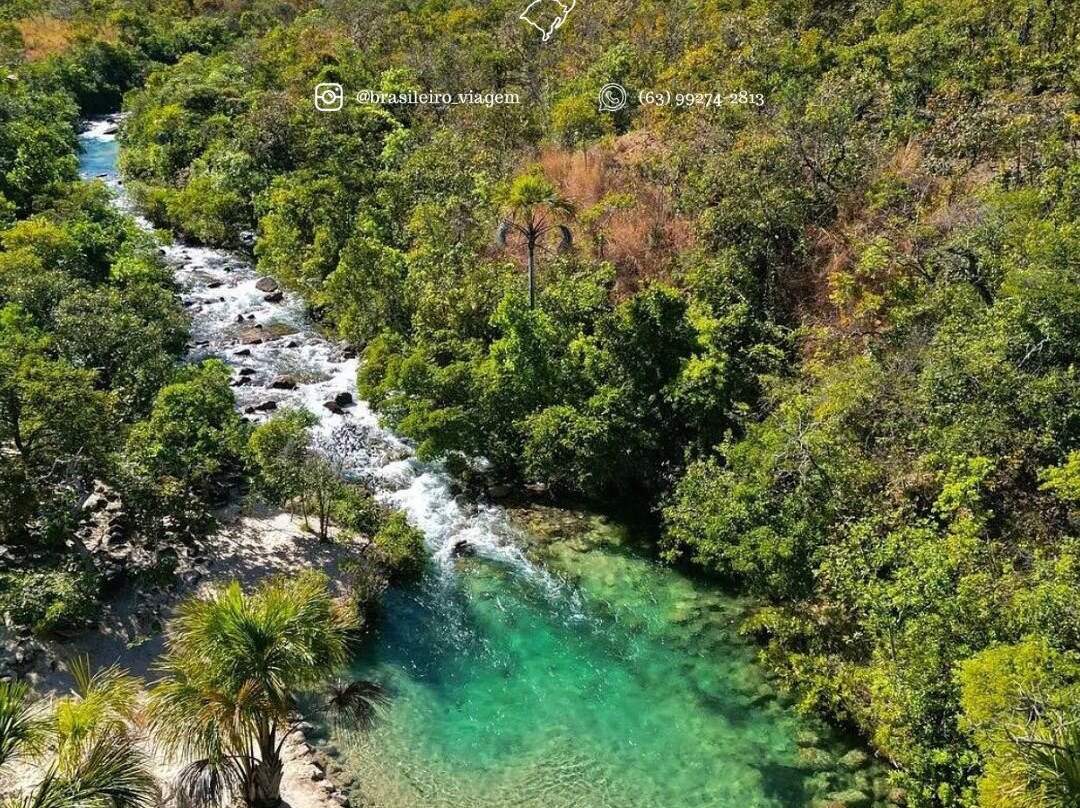 Viagem Com O Brasileiro