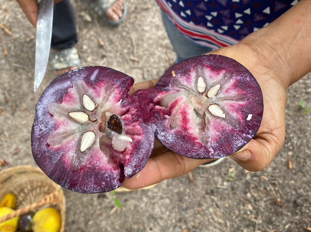 Singh's Farm Agro Tours景点图片