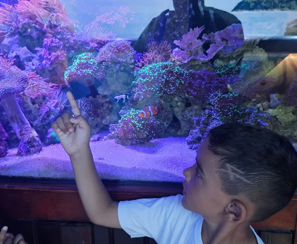 Ubatuba Aquarium-乌巴图巴必去景点
