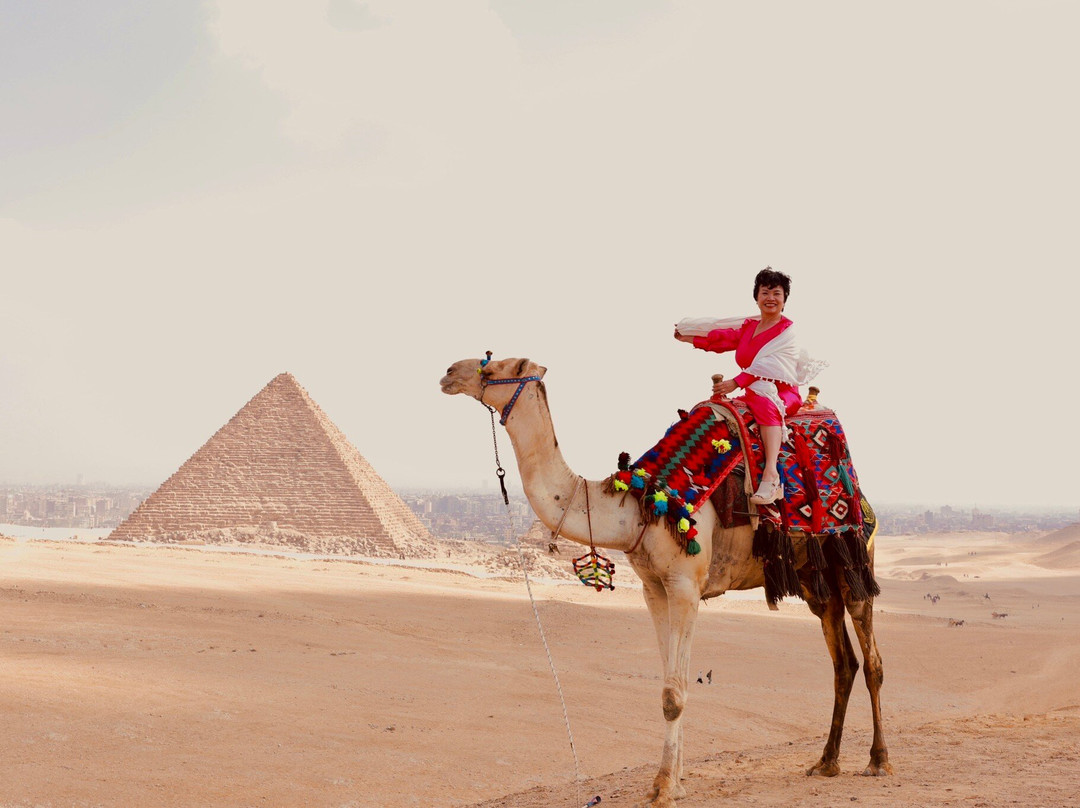 Egypt knight tours景点图片