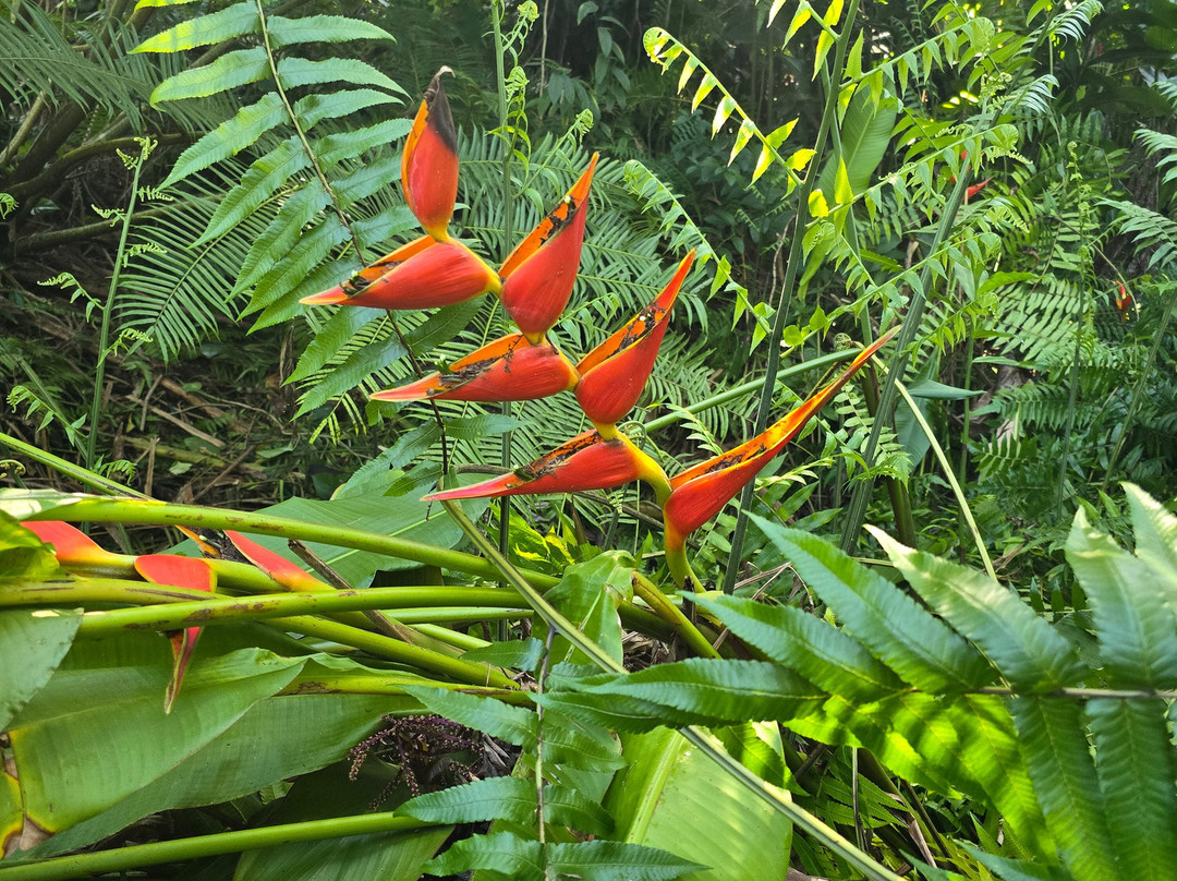 The Kings Gardens Maui-Huelo必去景点