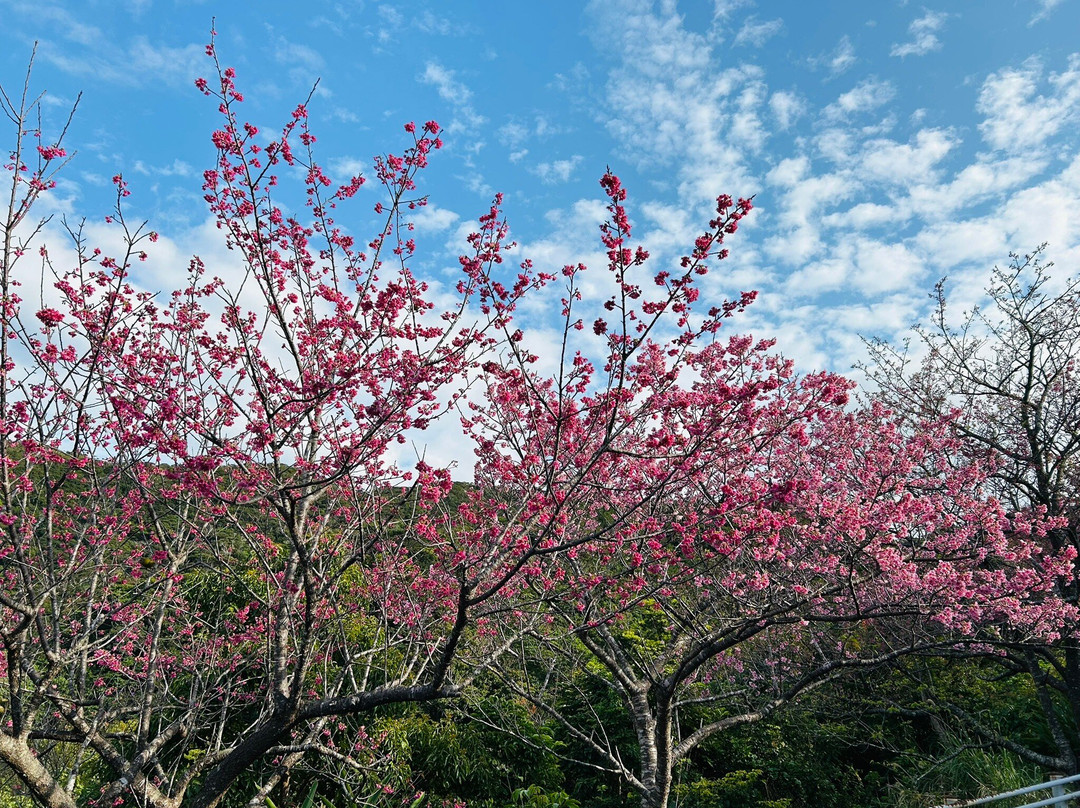 Kakeroma Island-濑户内町必去景点