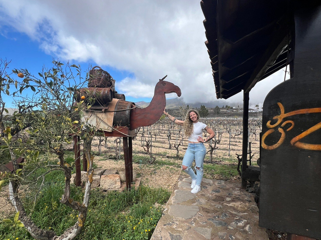 Bodegas Reverón-Vilaflor必去景点