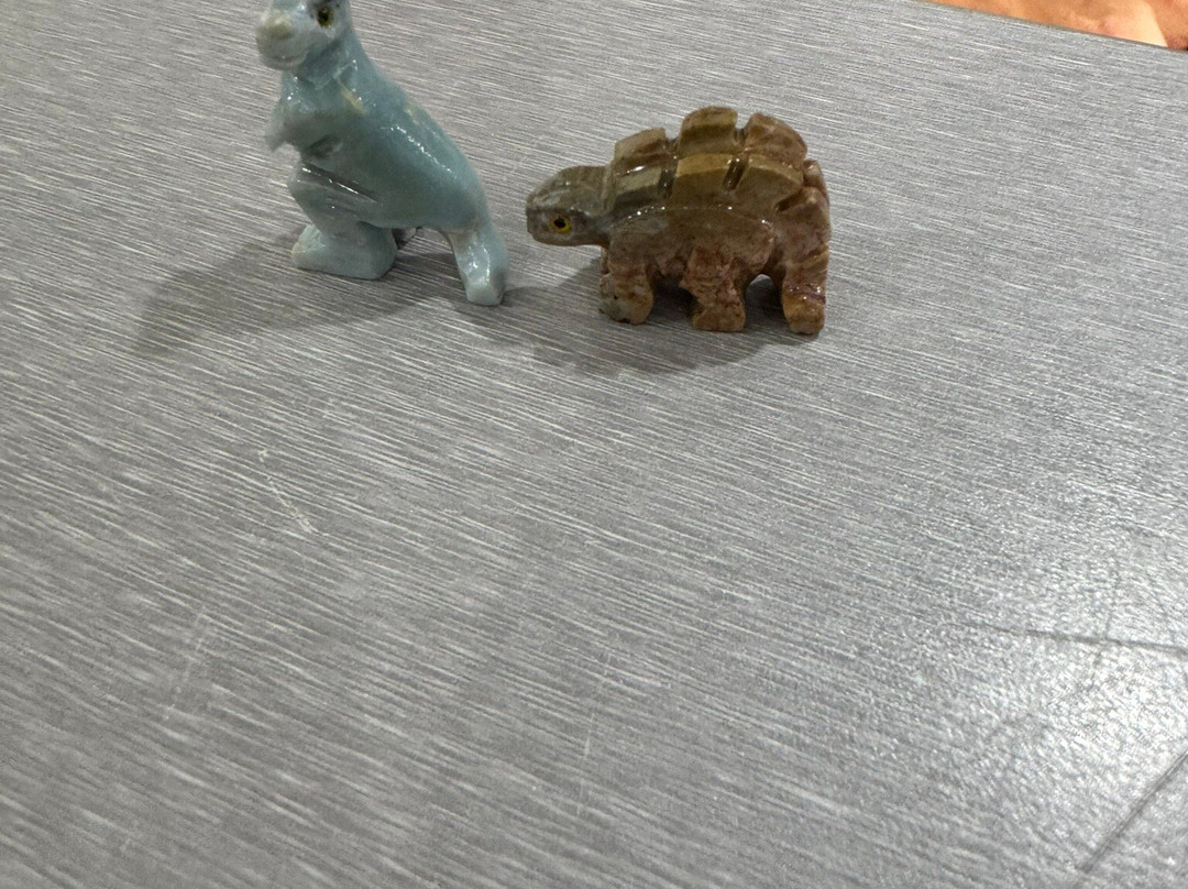 Pineapple Rocks-萨拉索塔必去景点