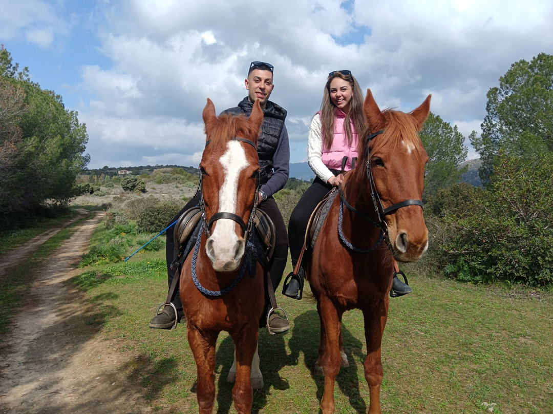 Centro Equestre Mirmex Asd-Quartucciu必去景点