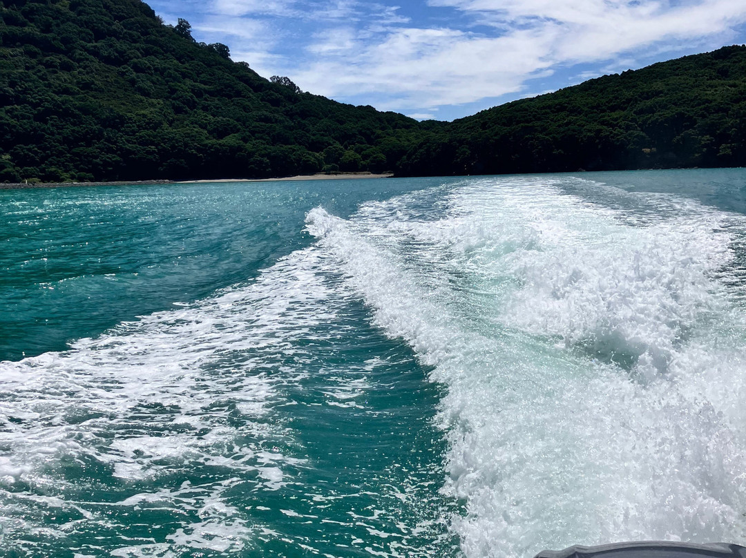 Moutohora Island Sanctuary (Whale Island) - Day Tour-法卡塔尼必去景点