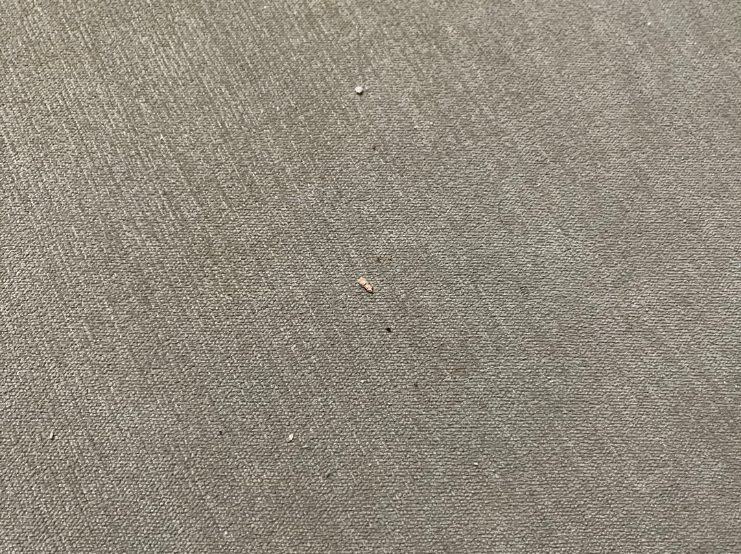 Cambridge Hotel and Conference Centre主图