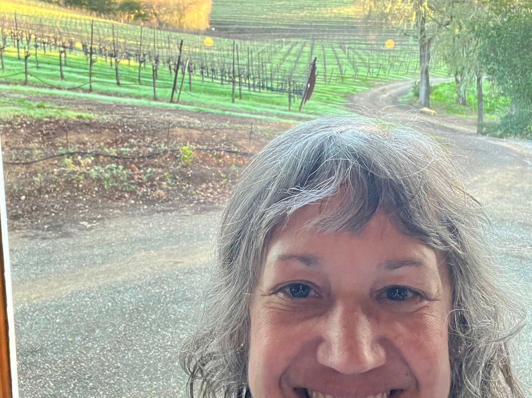 Alexander Valley Vineyards景点图片
