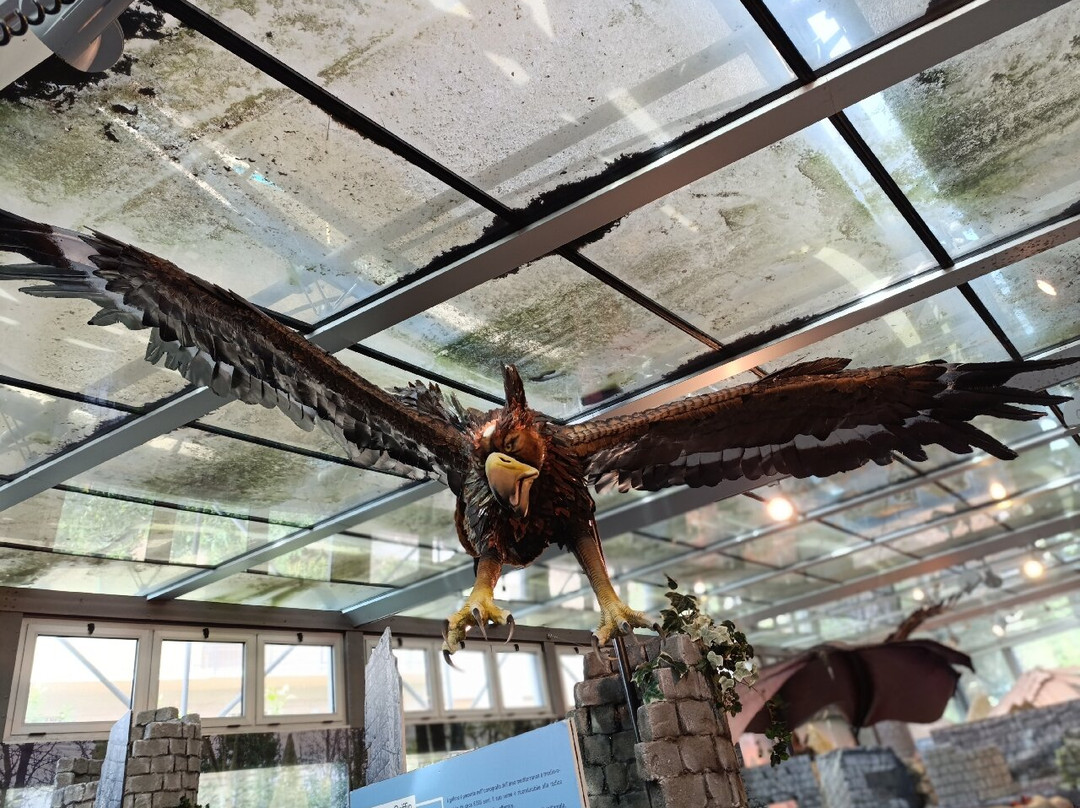 Museo di Storia Naturale del Mediterraneo景点图片