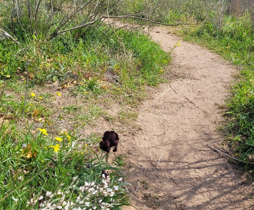 National Park Sandstone Hills-Ness Ziona必去景点