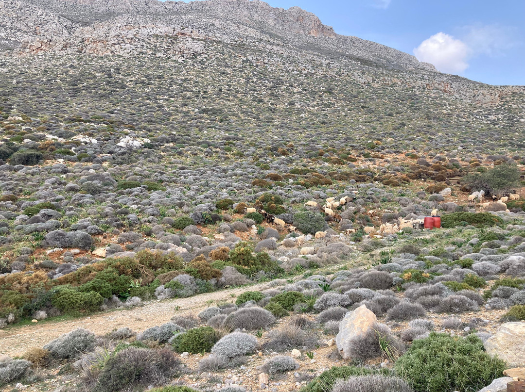 Crete Off Road-Koutsounari必去景点