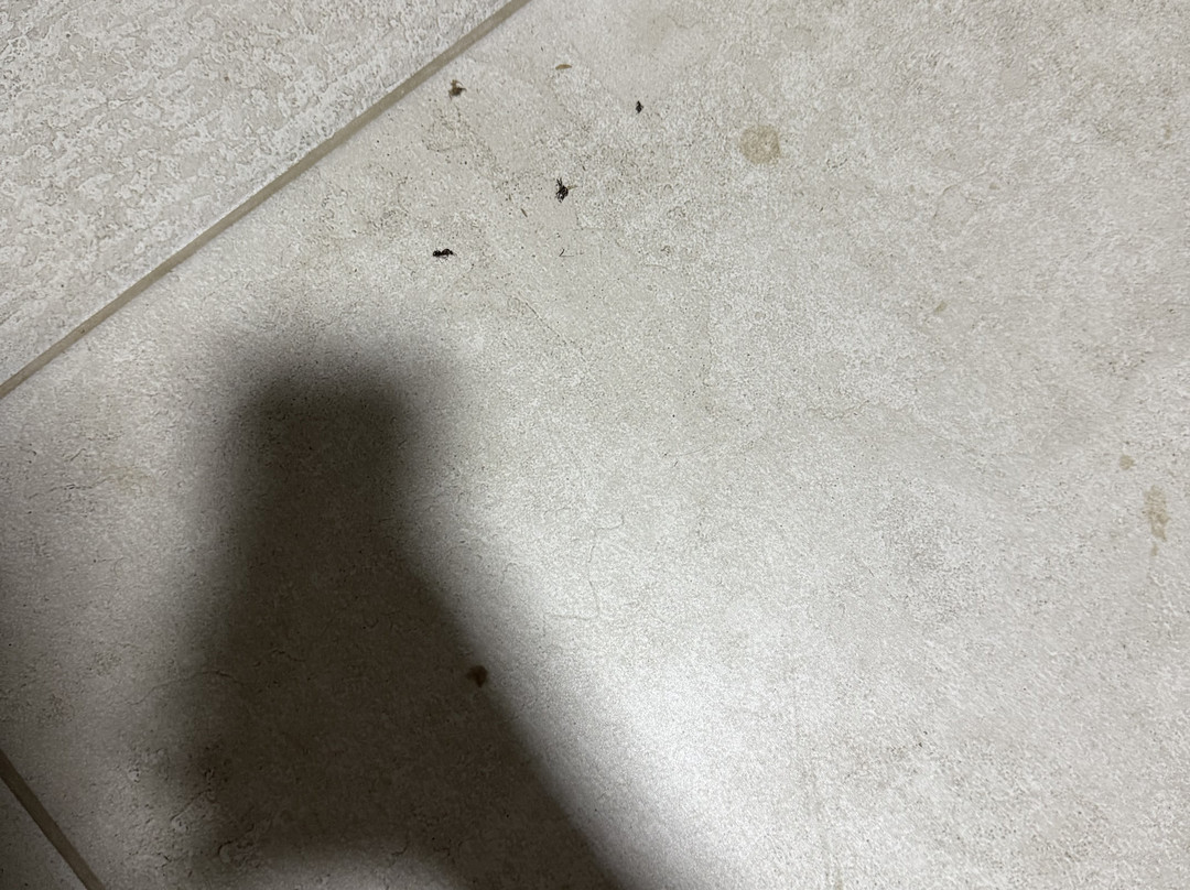 Pousada Recanto Das Árvores主图