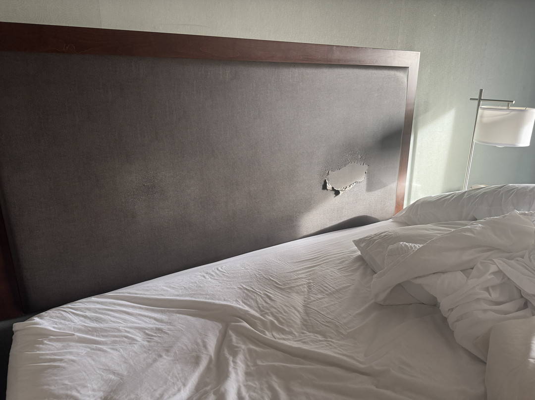 Holiday Inn Express & Suites Indio - Coachella Valley By IHG主图