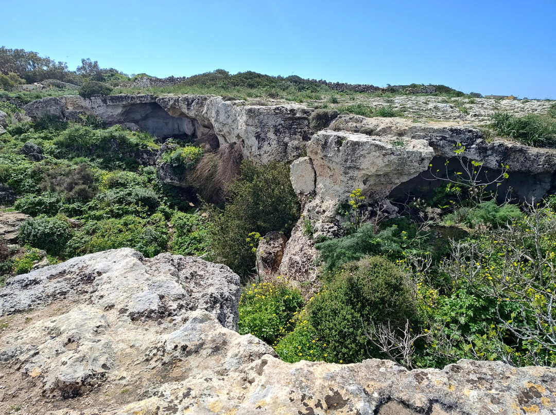 Malta Nature Tours-Zebbug必去景点