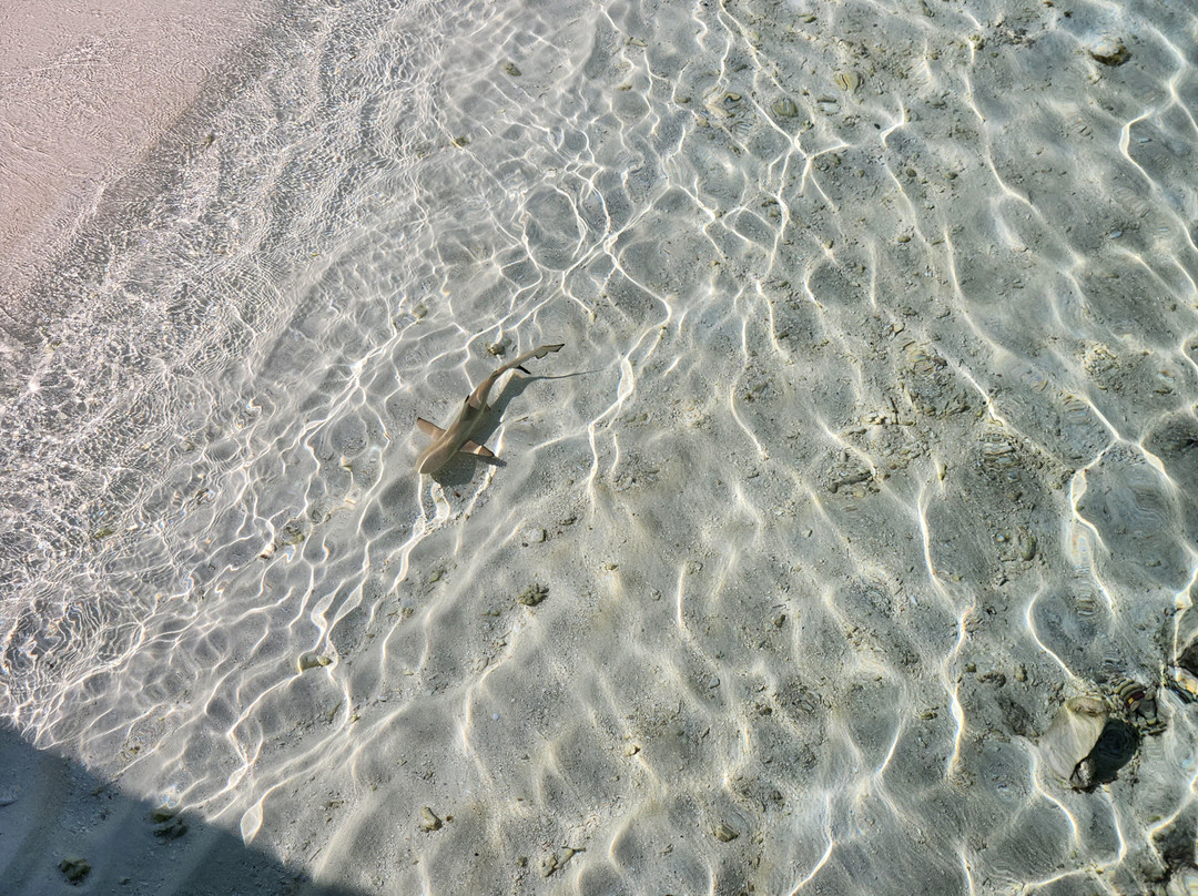 蜜莉喜岛度假村主图