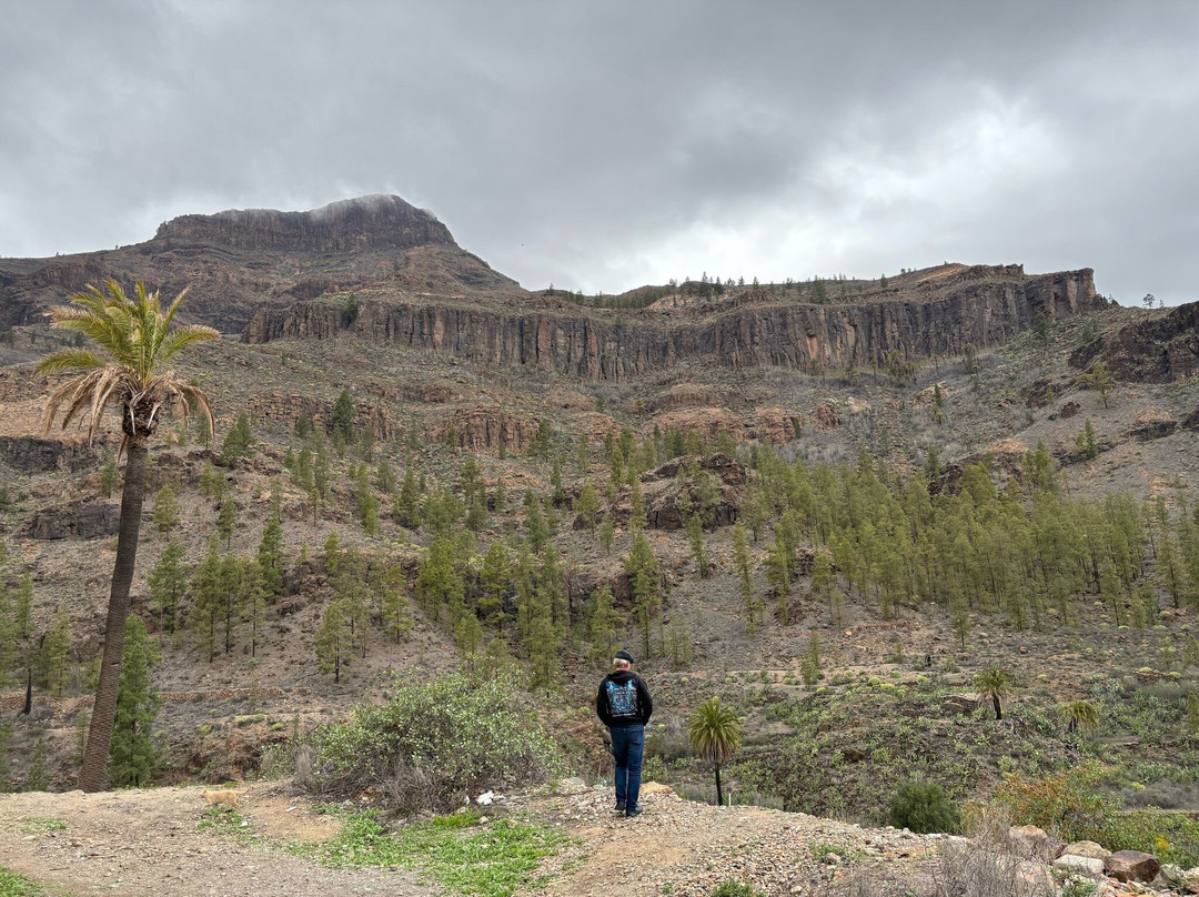 Barranco de Fataga景点图片