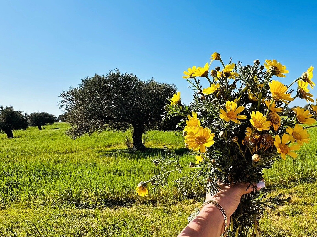 Celebi Garden Hotel主图