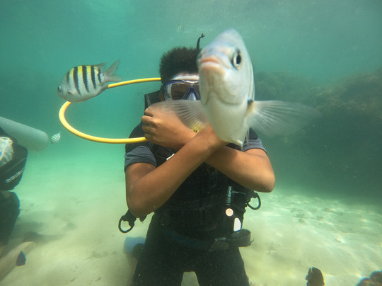 Mergulhos Aquamarina-嘎林海斯港必去景点