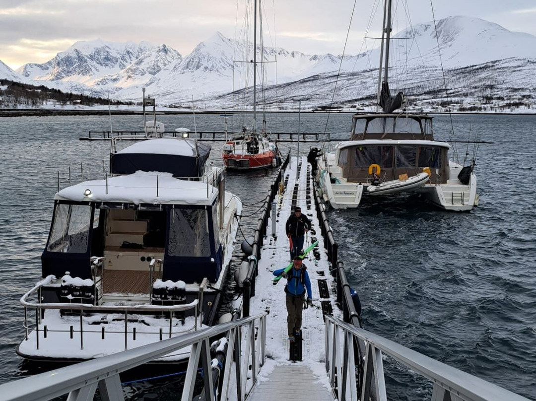 Arctic Cruise In Norway AS - Day Tours-特罗姆瑟必去景点