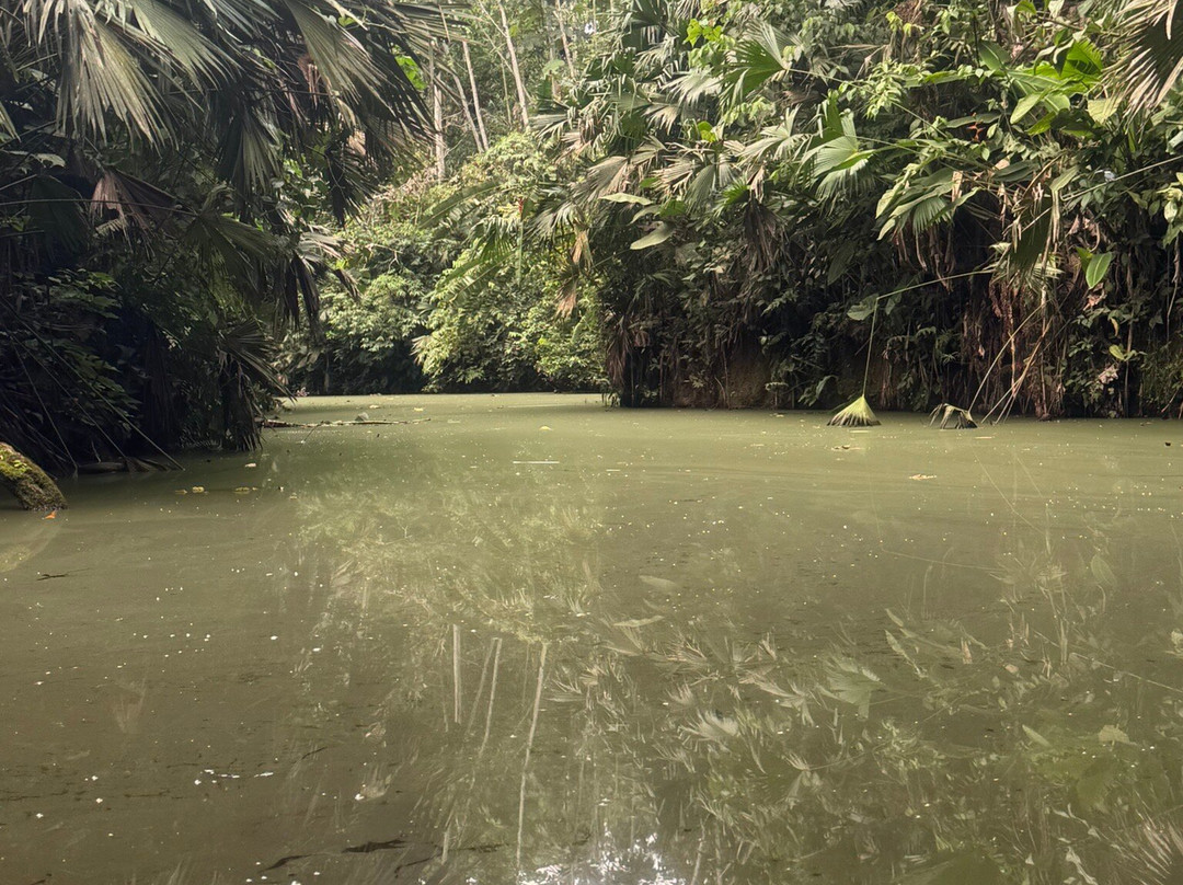 Raft Amazonia-Tena必去景点