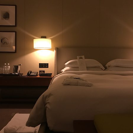东京皇宫酒店主图