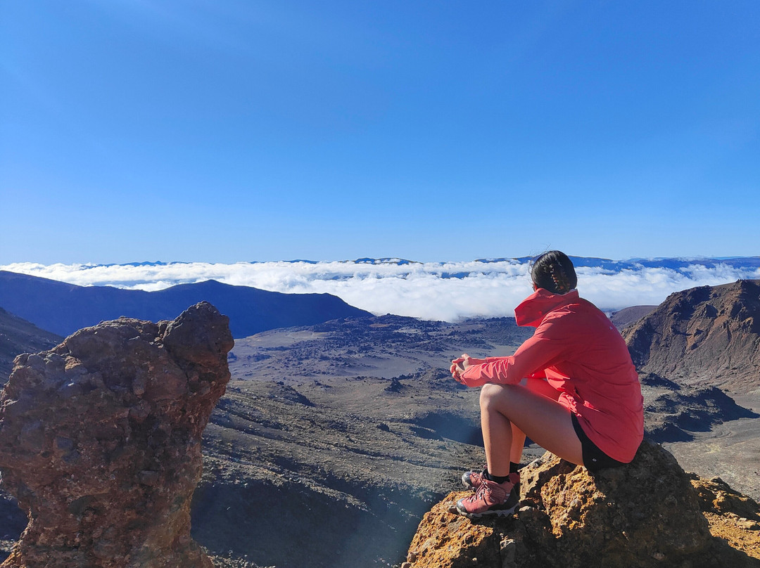 Owhango Adventures-Owhango必去景点