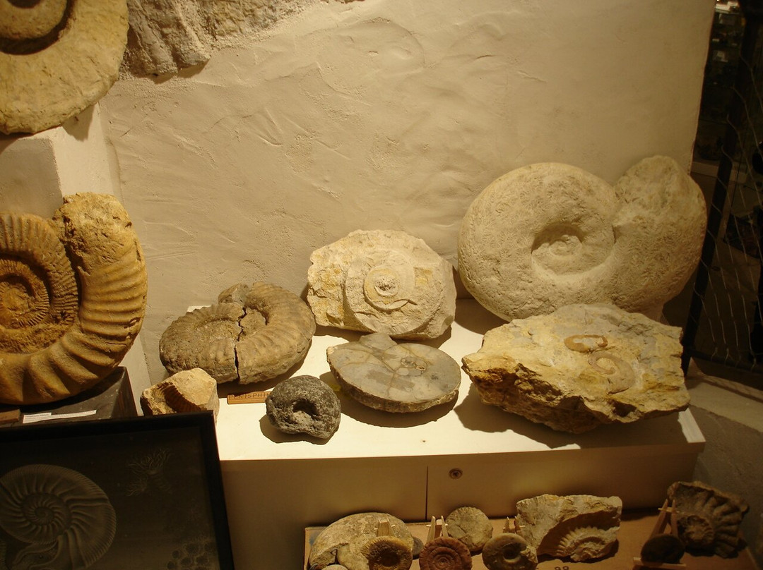 Musée Fossiles et Minéraux-Bargemon必去景点
