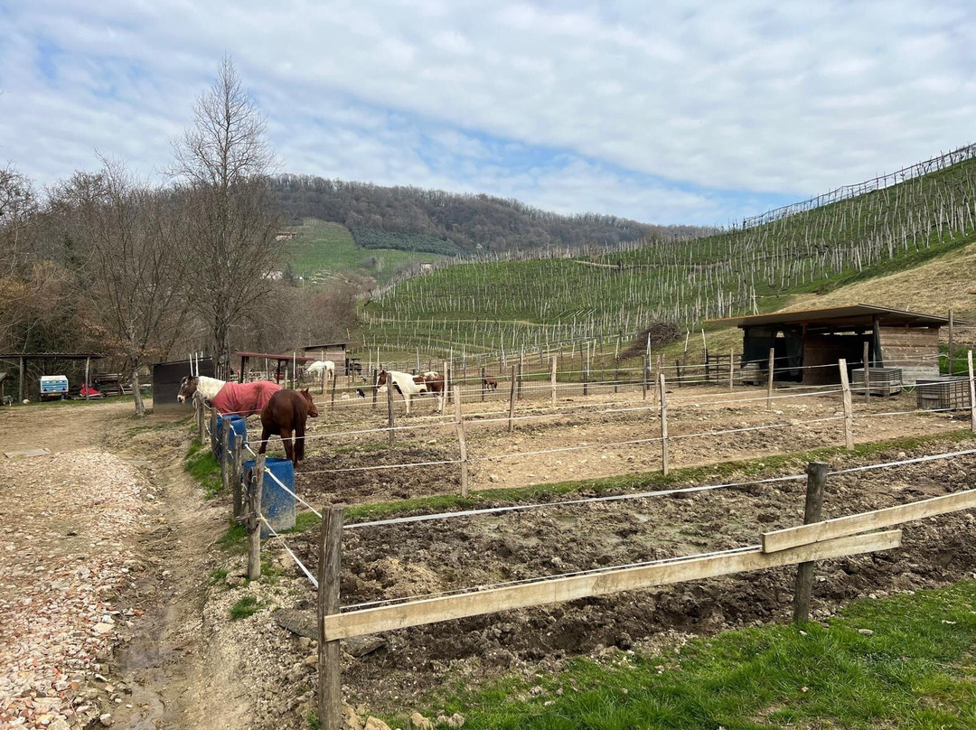 Ranch Val Di Ronch
