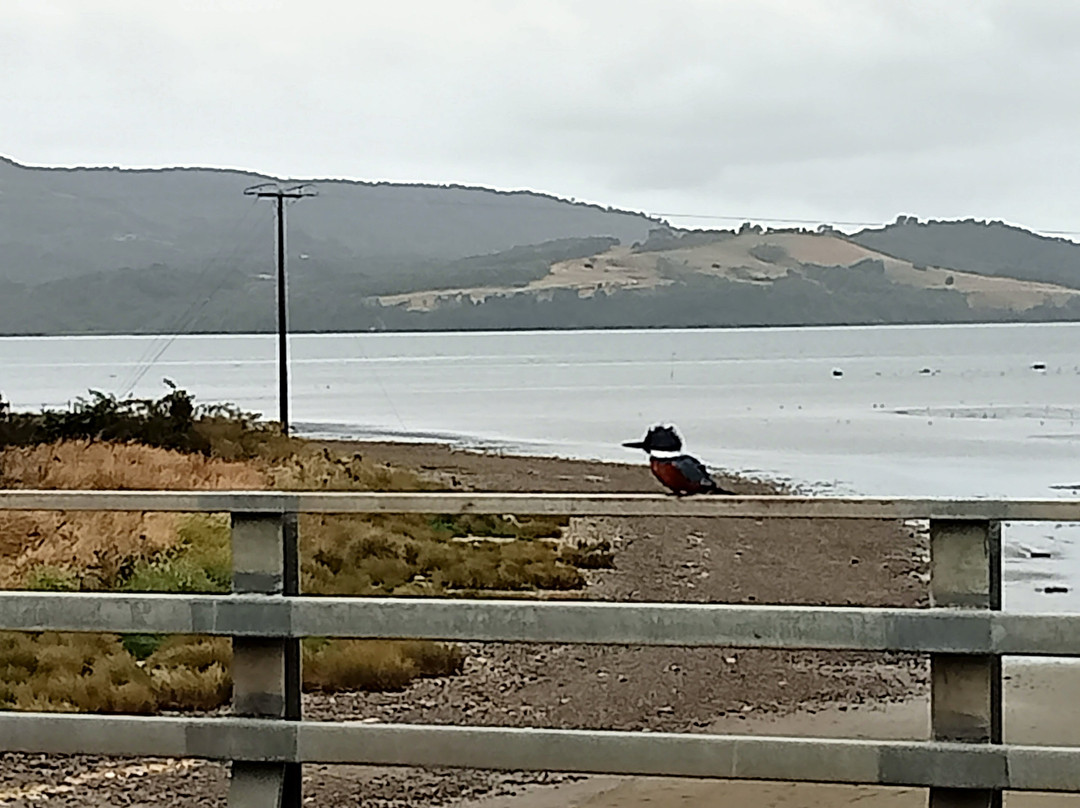 Puente Quilo-Ancud必去景点