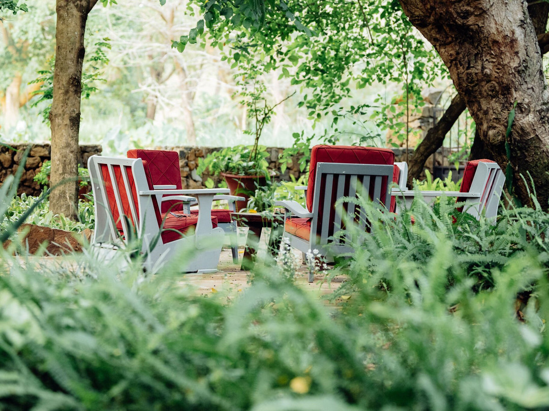 Mount Meru Game Lodge主图