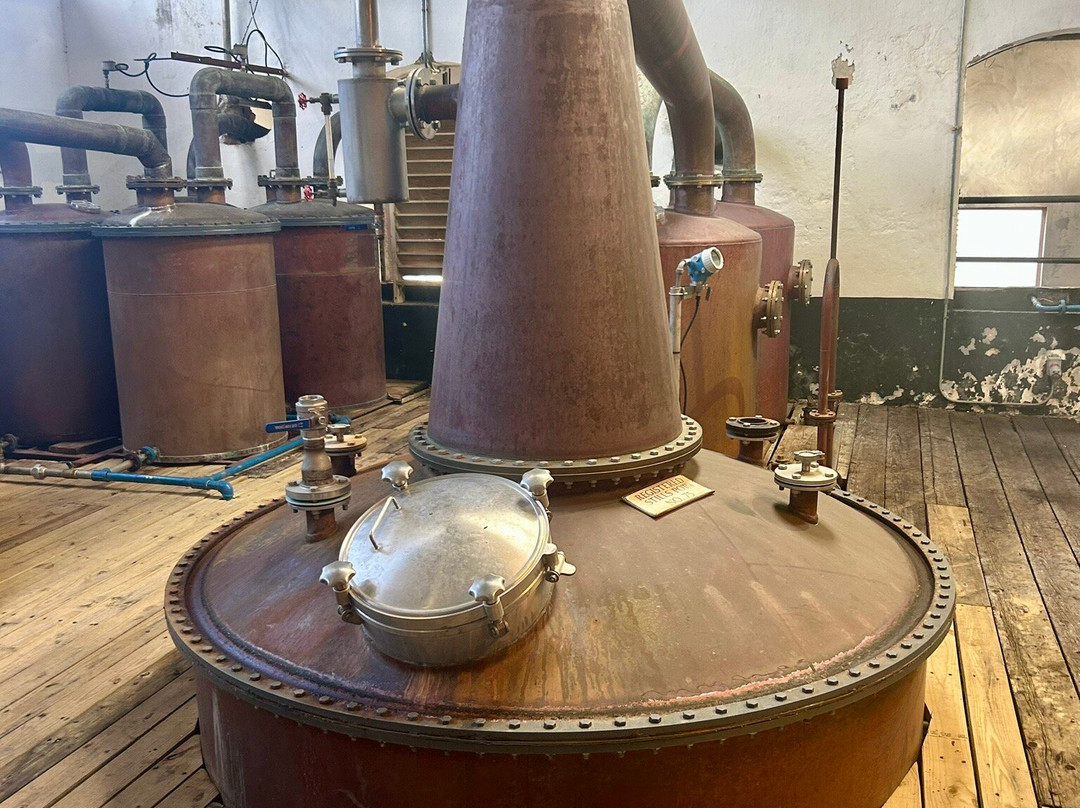 Mount Gay Rum Distillery-Benthams必去景点